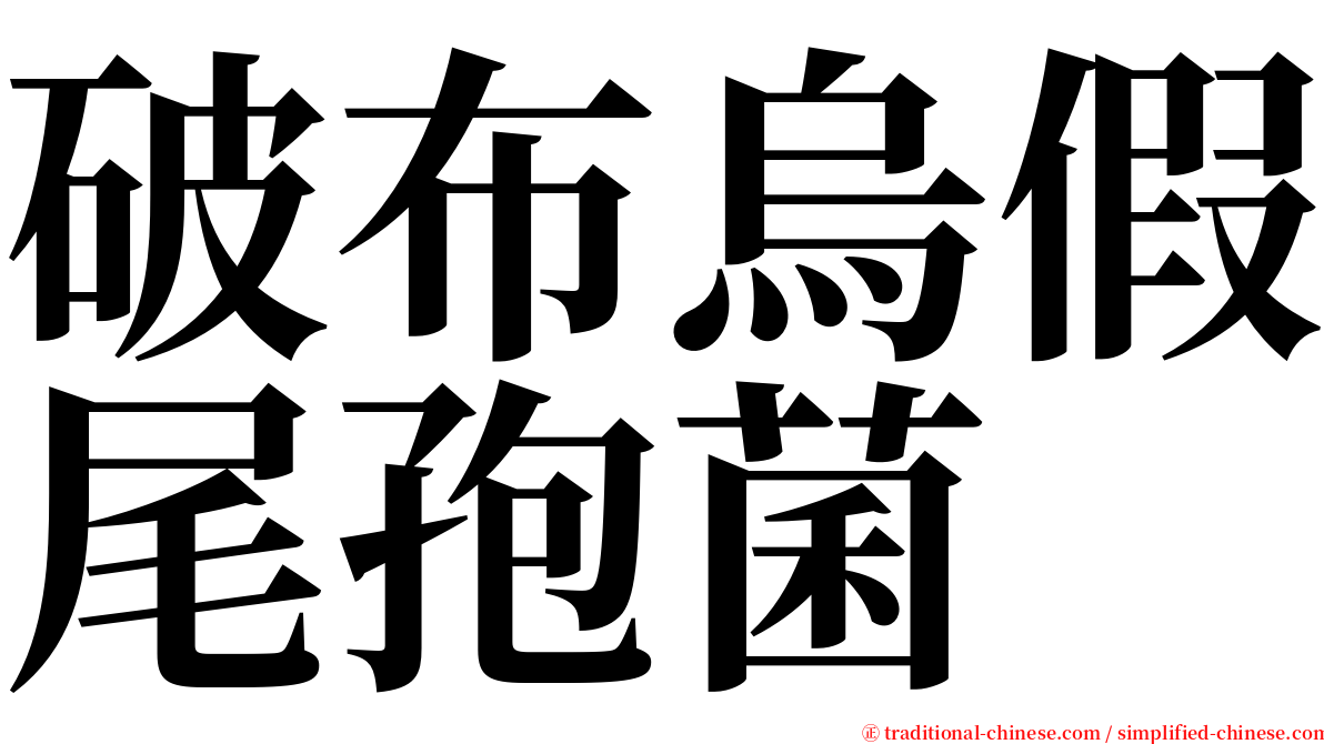 破布烏假尾孢菌 serif font