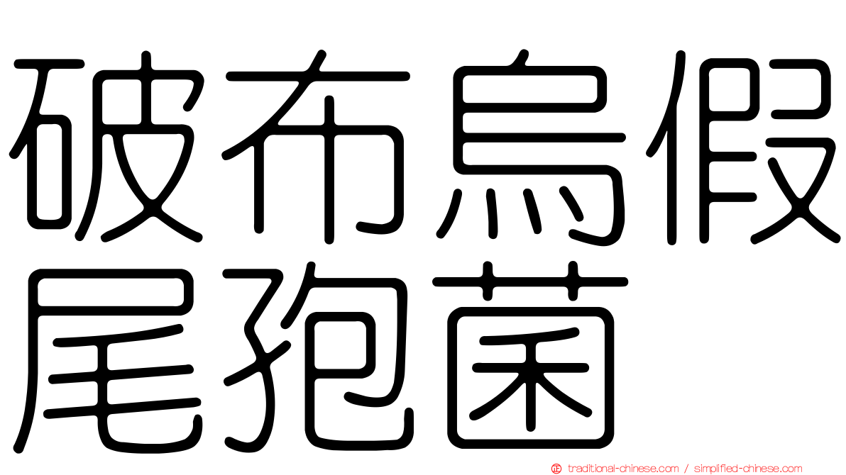破布烏假尾孢菌