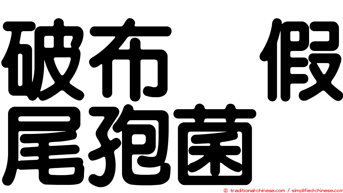 破布烏假尾孢菌