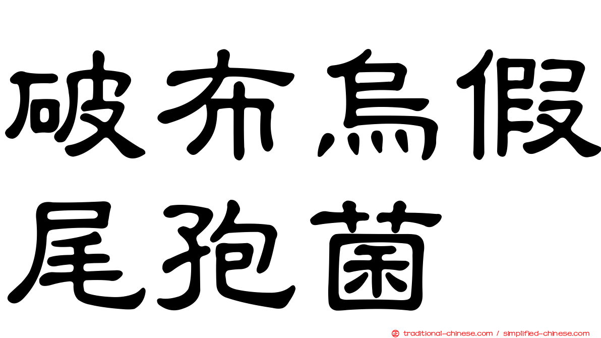 破布烏假尾孢菌