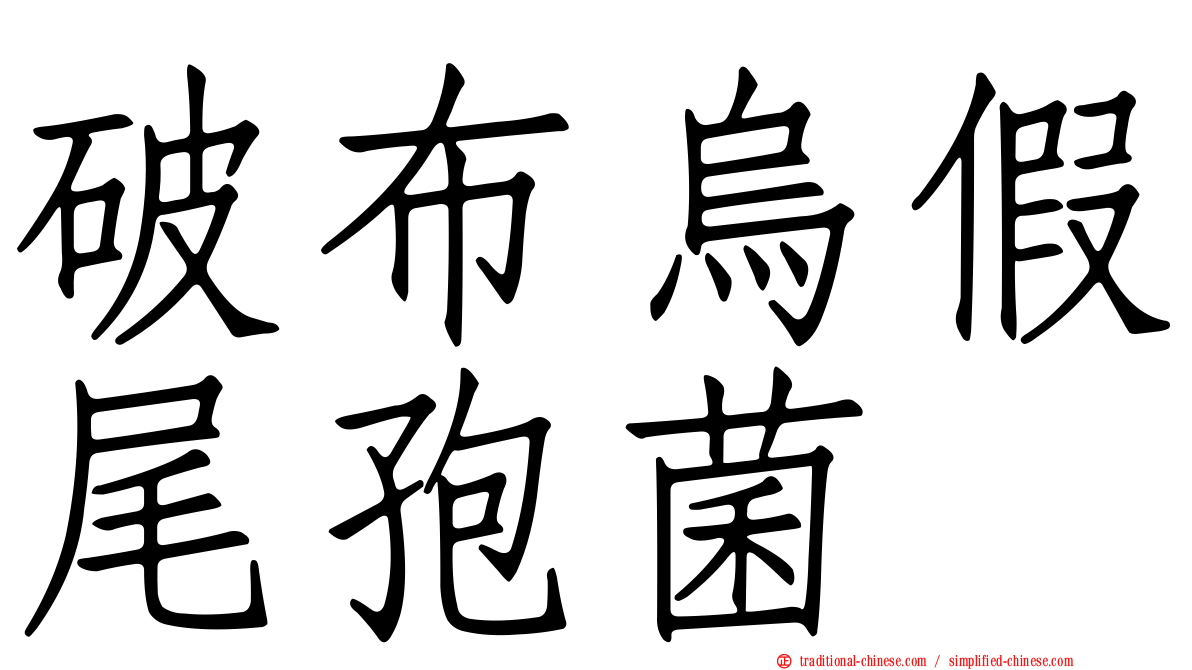 破布烏假尾孢菌