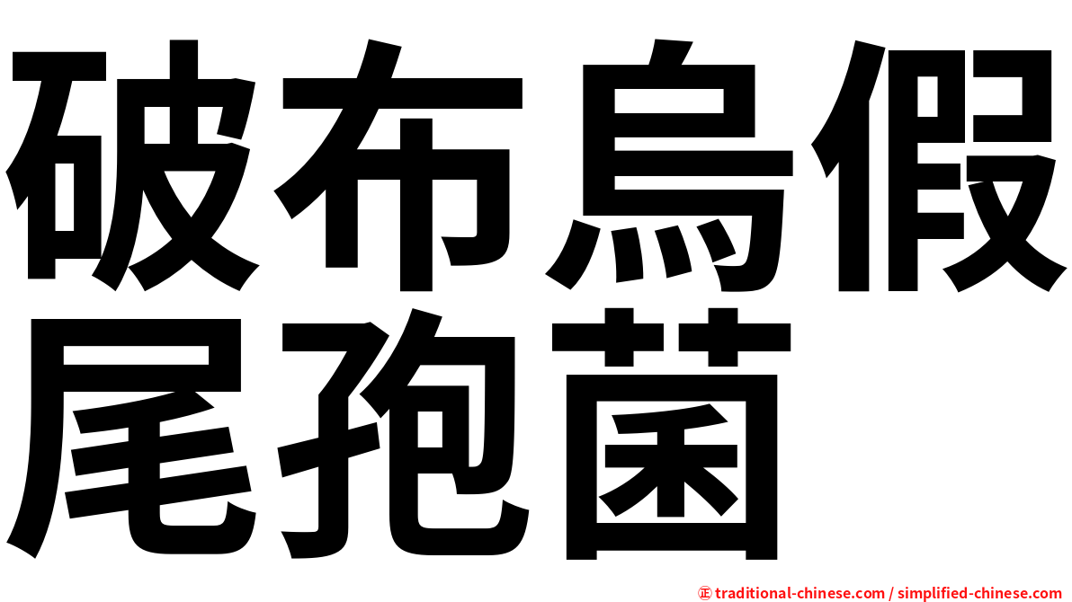 破布烏假尾孢菌