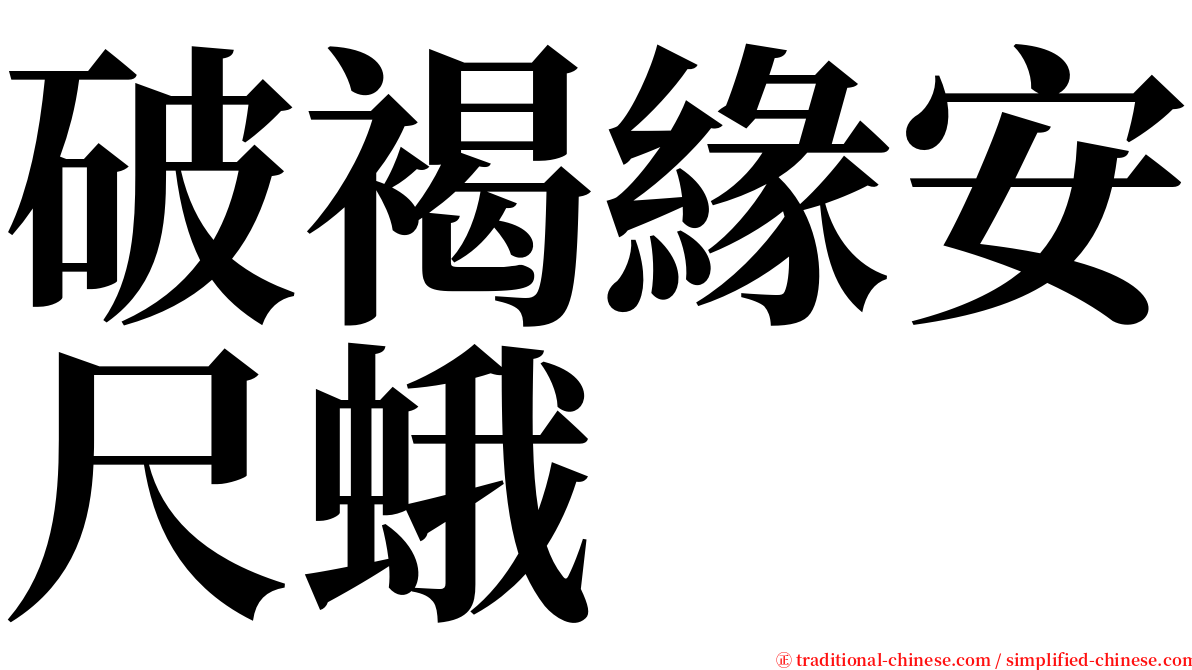 破褐緣安尺蛾 serif font