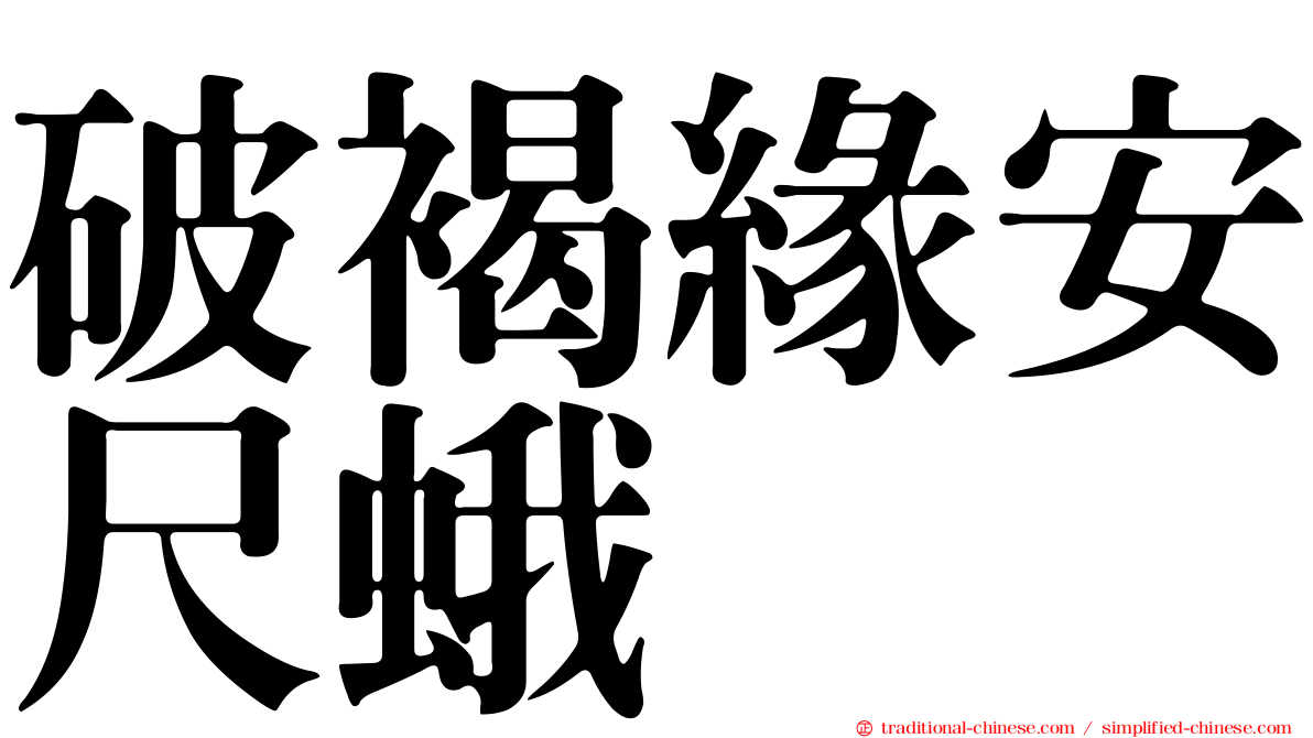 破褐緣安尺蛾