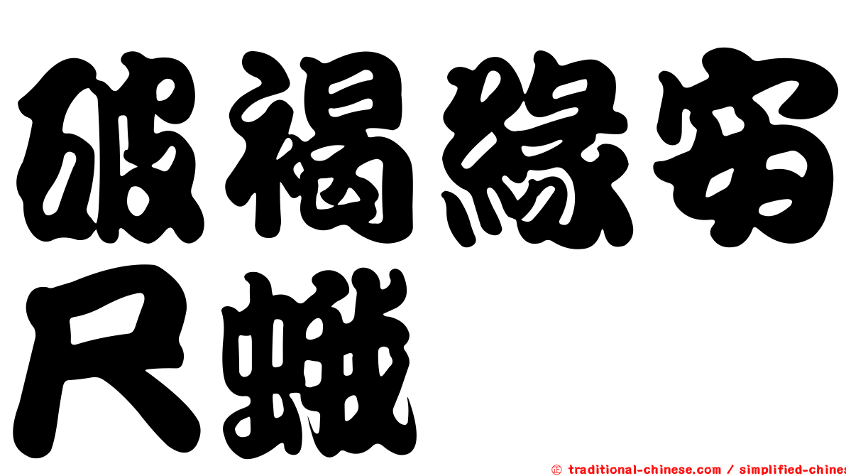 破褐緣安尺蛾