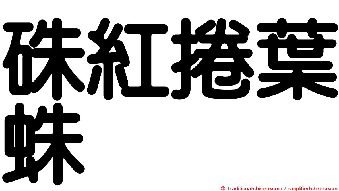 硃紅捲葉蛛