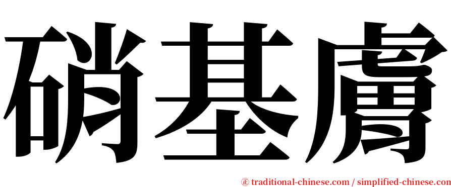 硝基膚 serif font