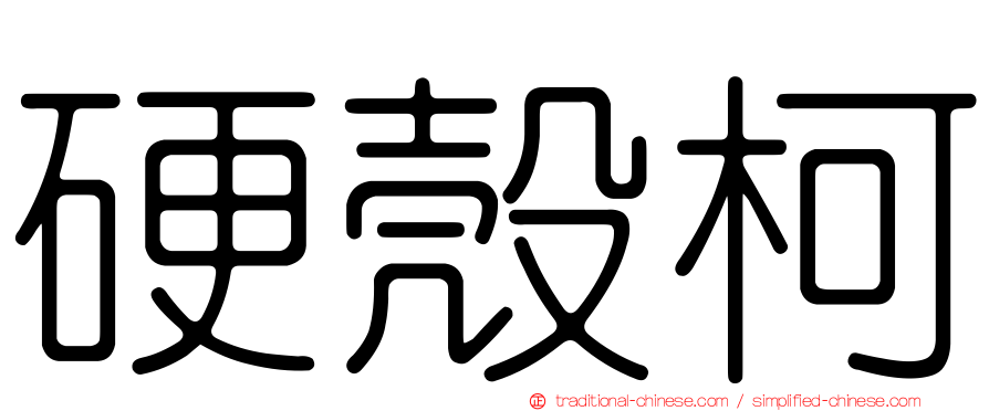 硬殼柯
