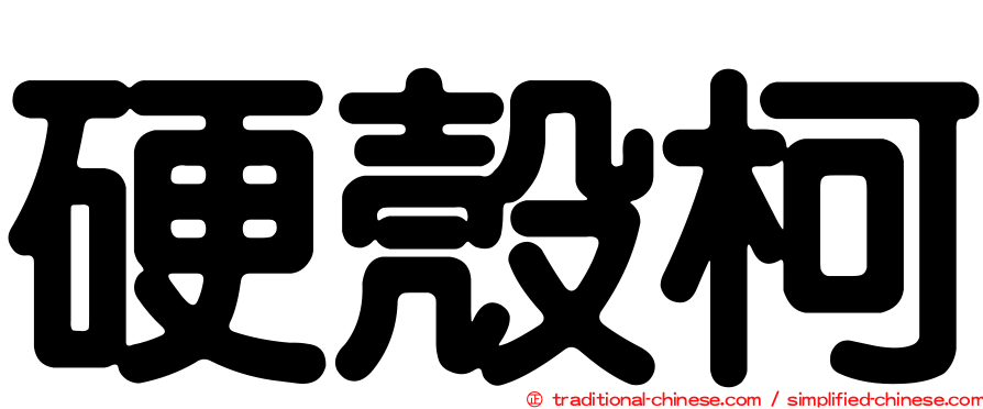 硬殼柯