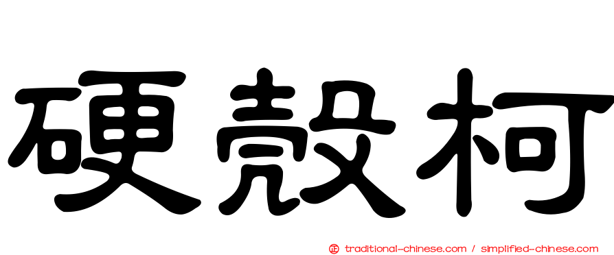硬殼柯