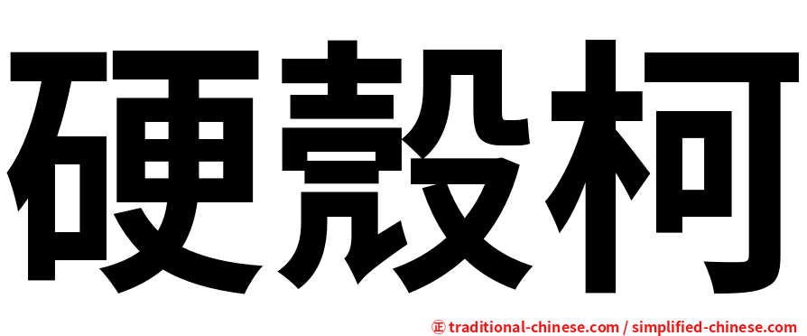 硬殼柯