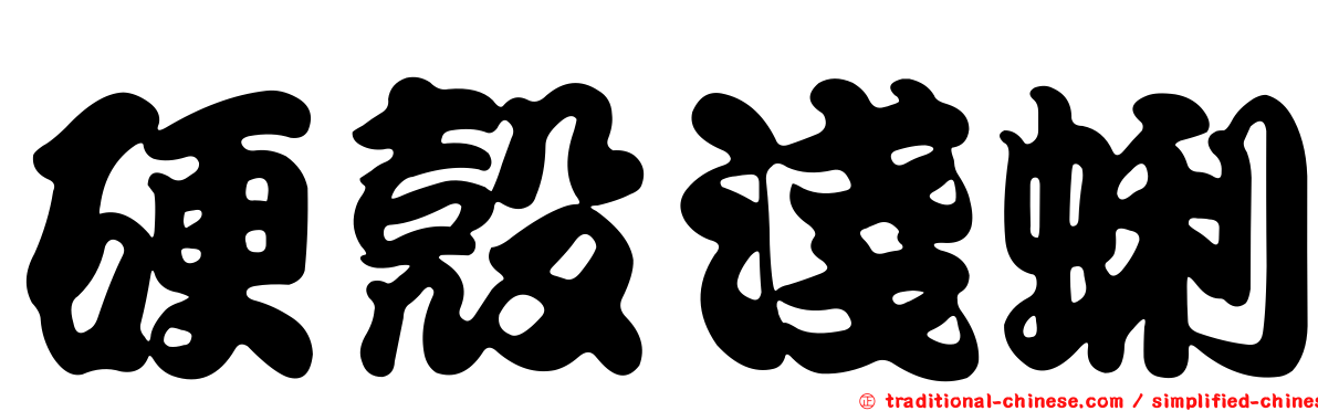 硬殼淺蜊