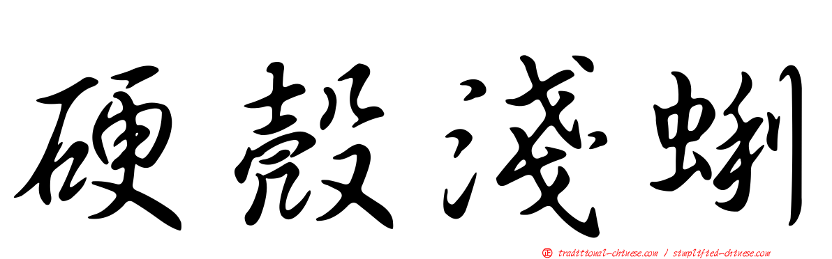硬殼淺蜊