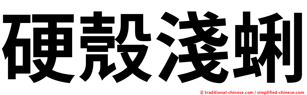 硬殼淺蜊