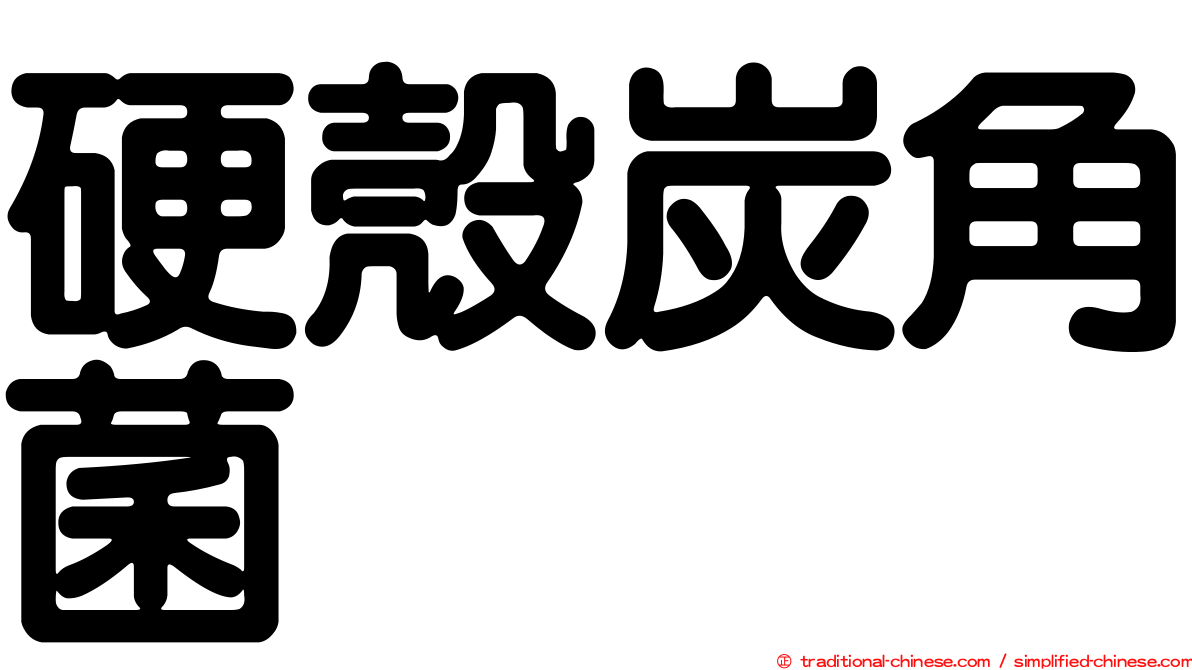 硬殼炭角菌