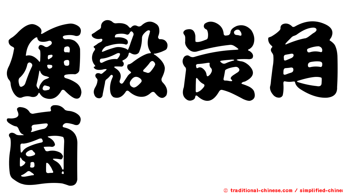 硬殼炭角菌