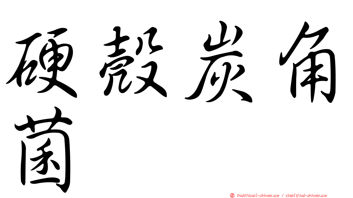 硬殼炭角菌