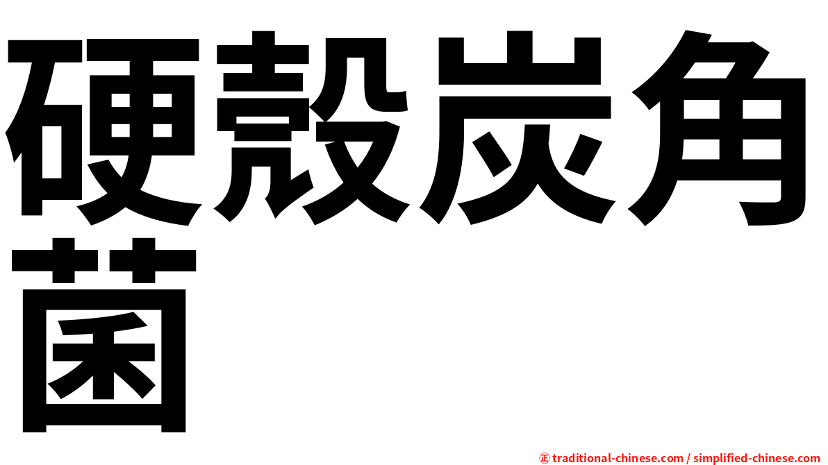 硬殼炭角菌