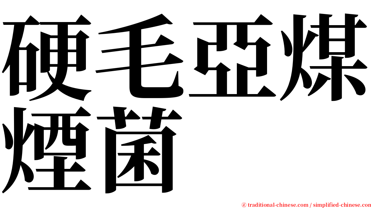 硬毛亞煤煙菌 serif font