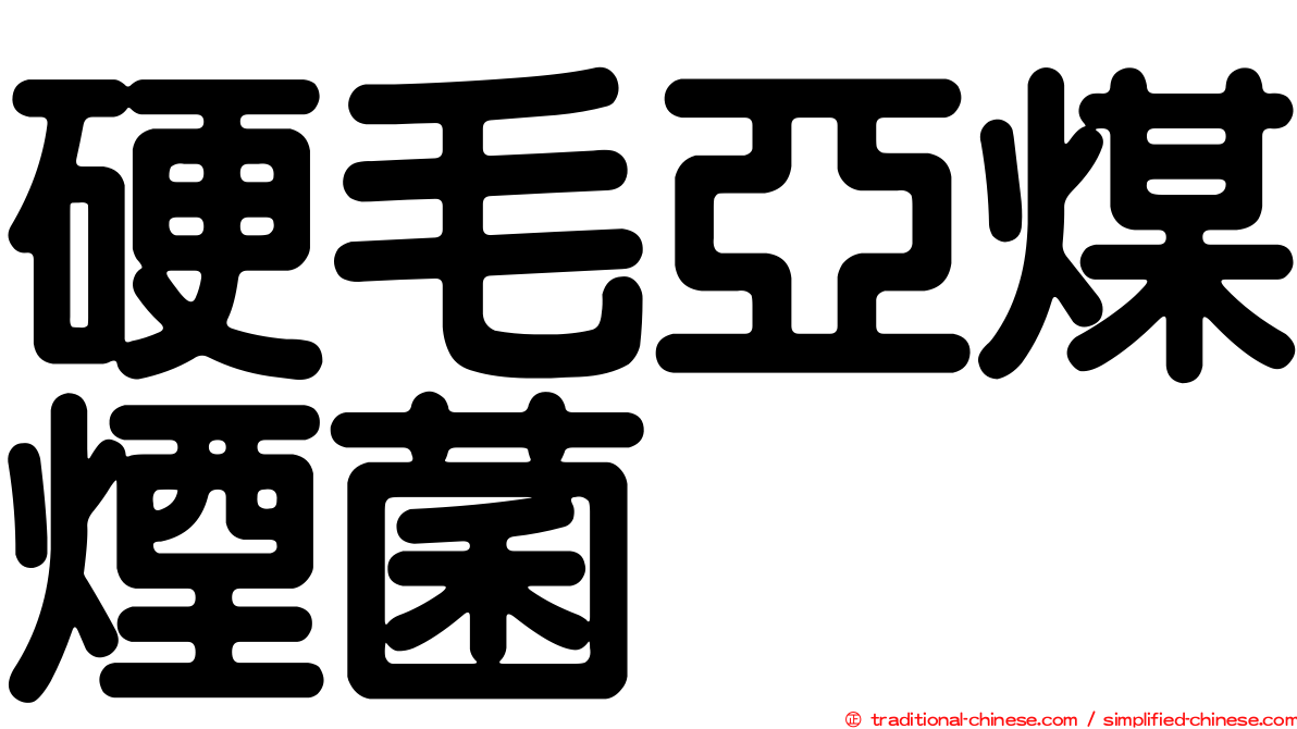 硬毛亞煤煙菌