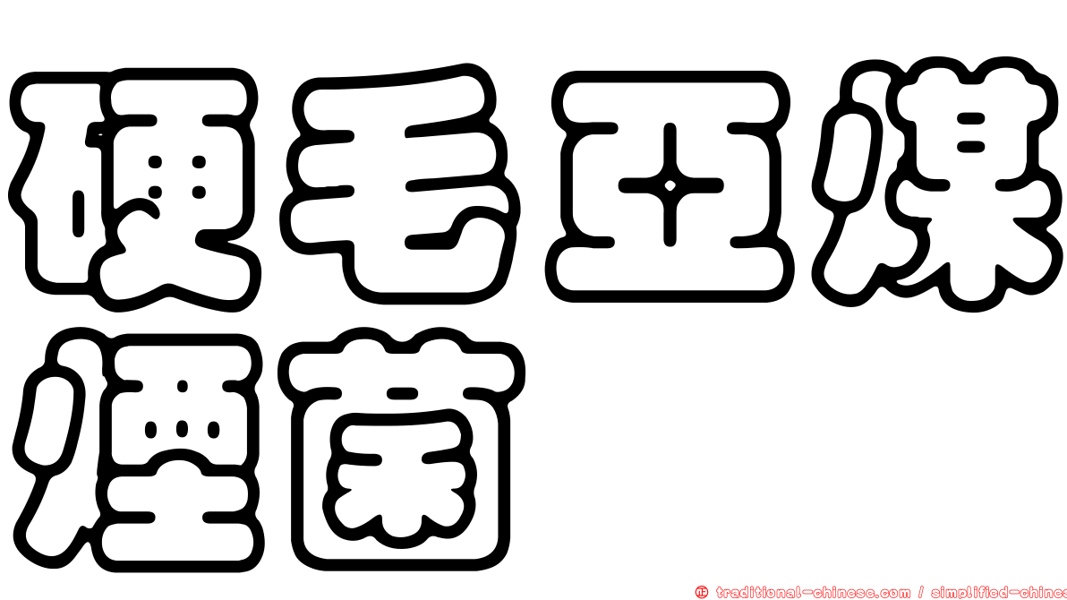 硬毛亞煤煙菌