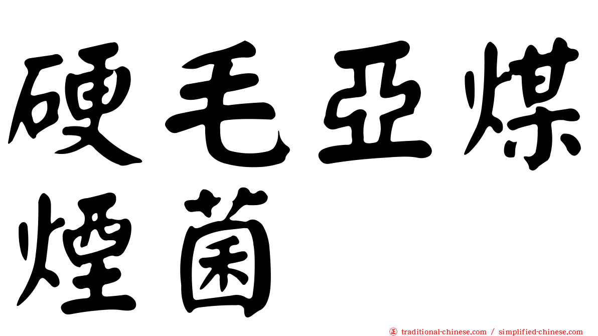 硬毛亞煤煙菌
