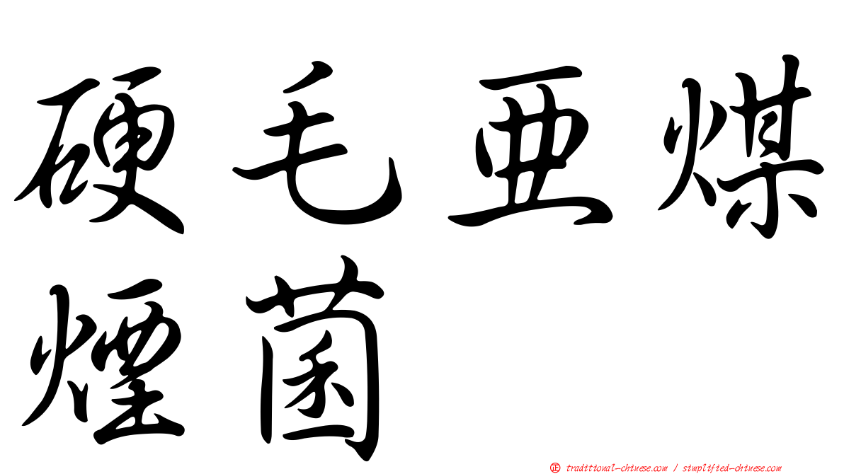 硬毛亞煤煙菌