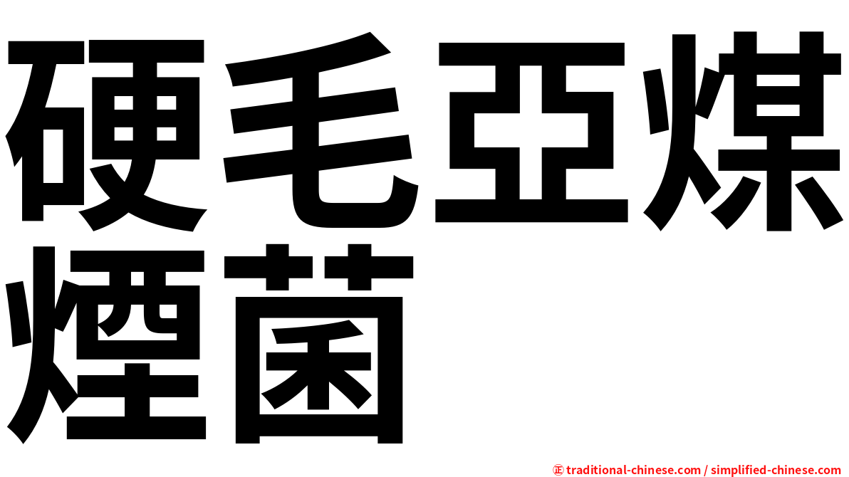 硬毛亞煤煙菌