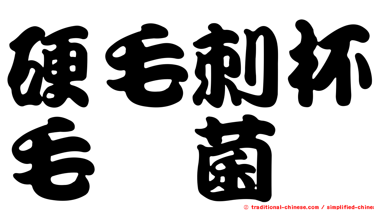 硬毛刺杯毛孢菌