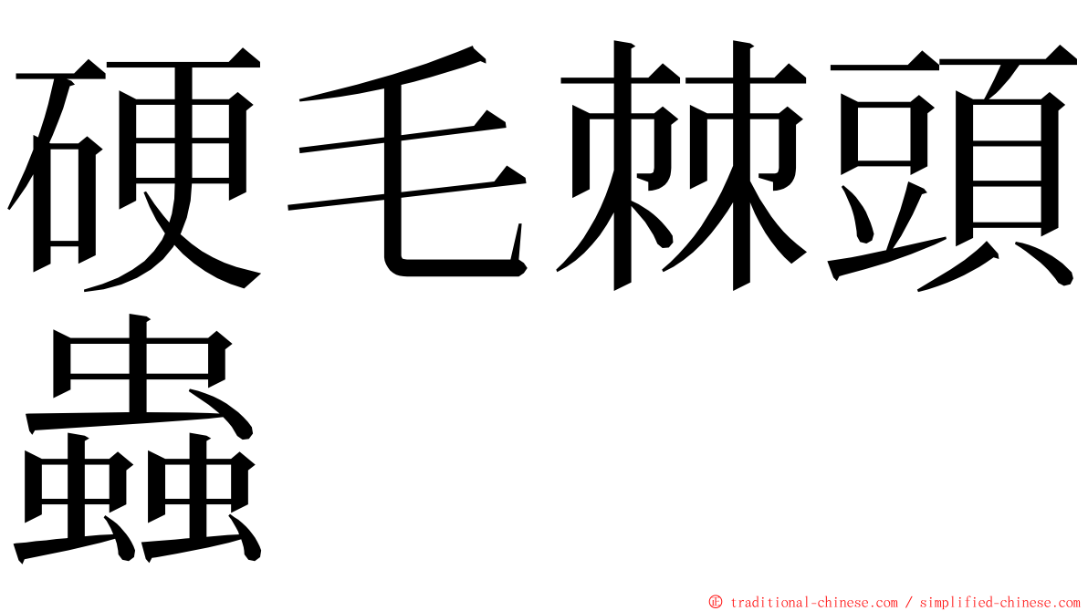 硬毛棘頭蟲 ming font