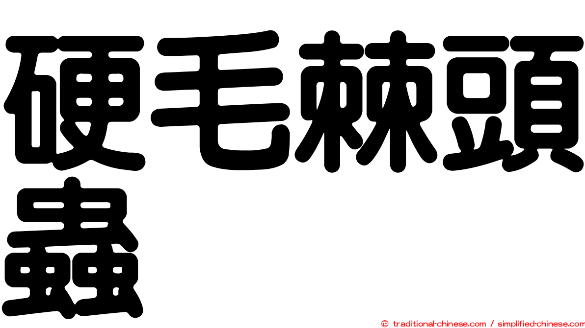 硬毛棘頭蟲