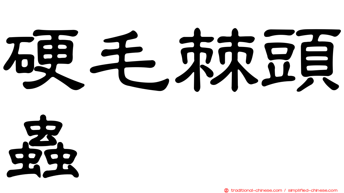 硬毛棘頭蟲