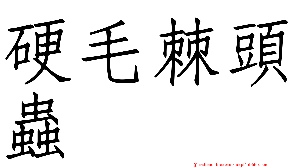 硬毛棘頭蟲