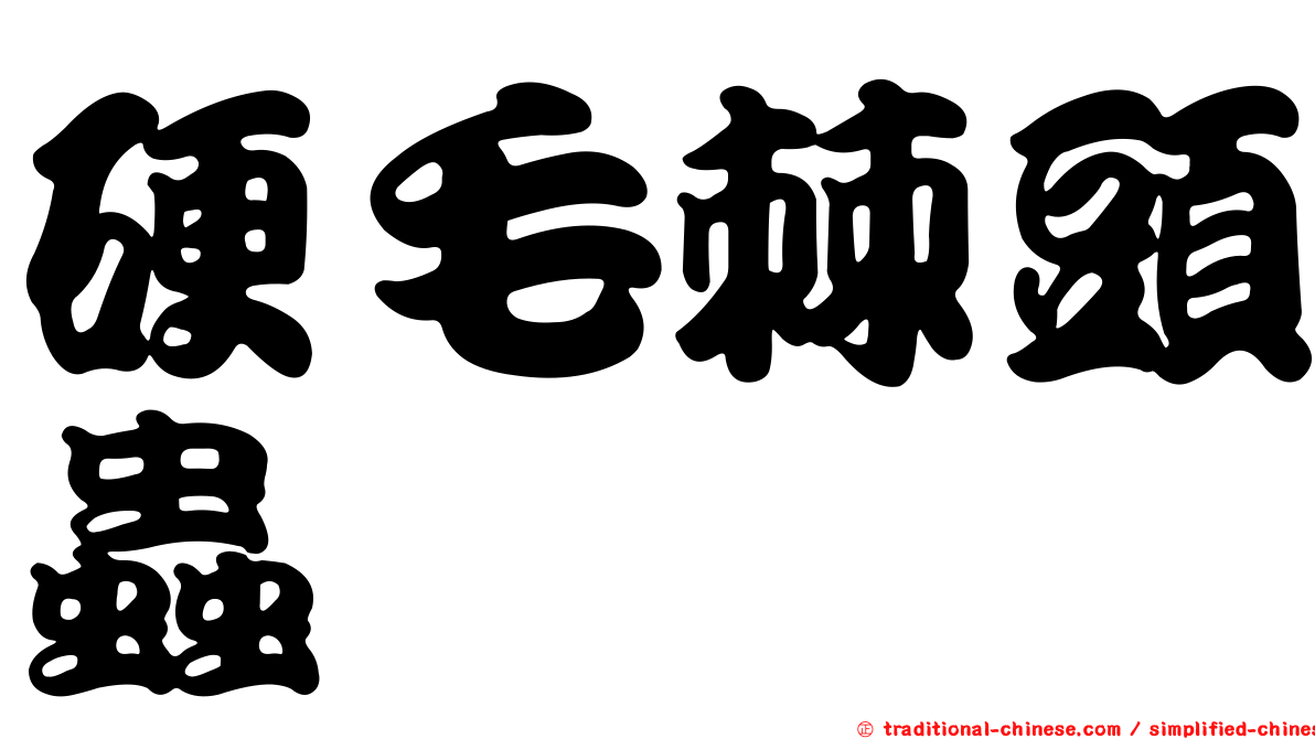 硬毛棘頭蟲
