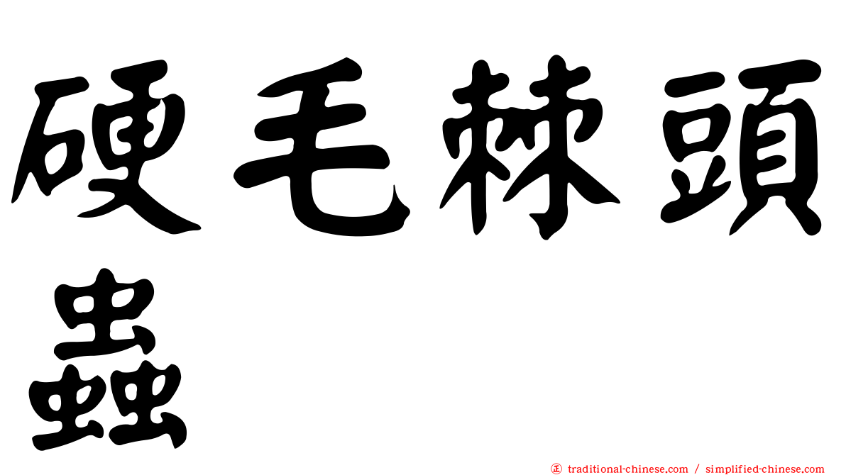 硬毛棘頭蟲