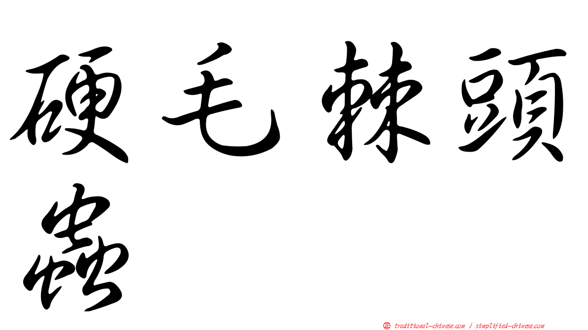 硬毛棘頭蟲