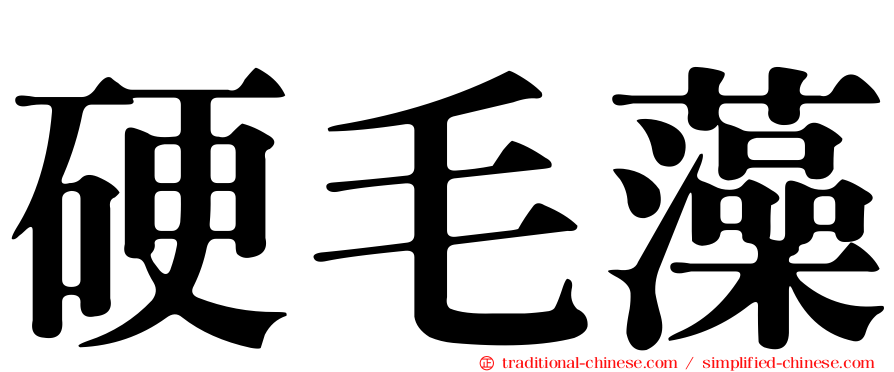 硬毛藻