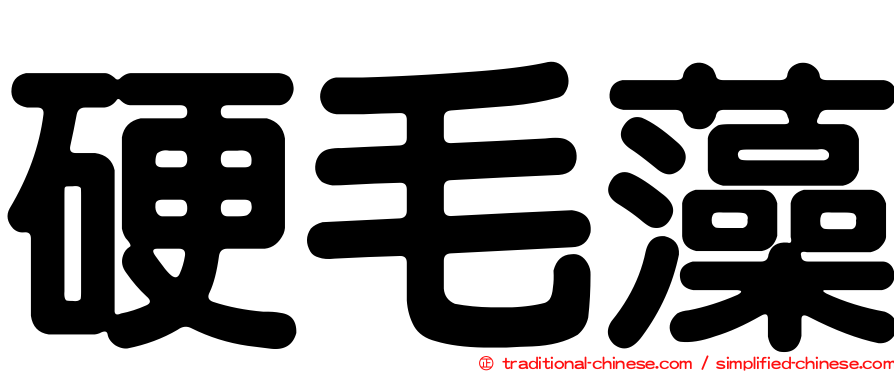 硬毛藻