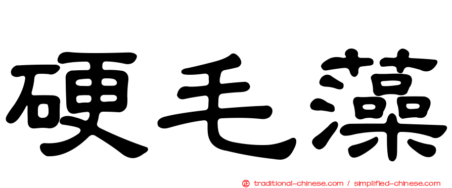 硬毛藻