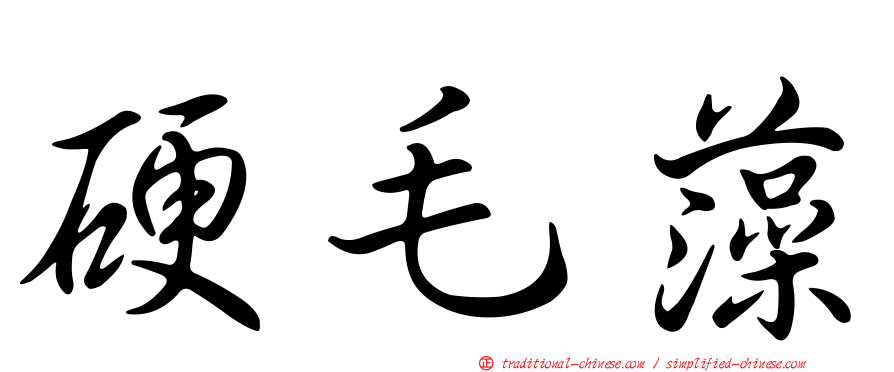 硬毛藻