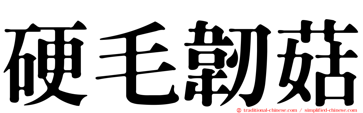 硬毛韌菇
