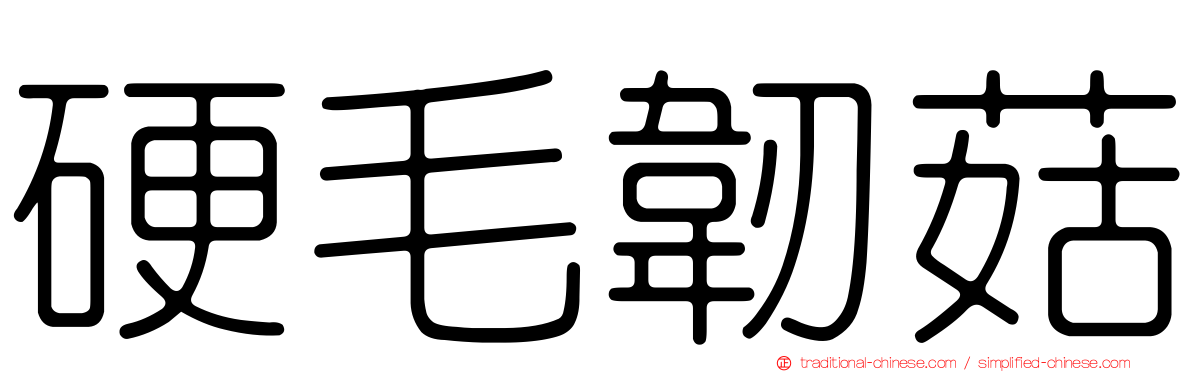硬毛韌菇
