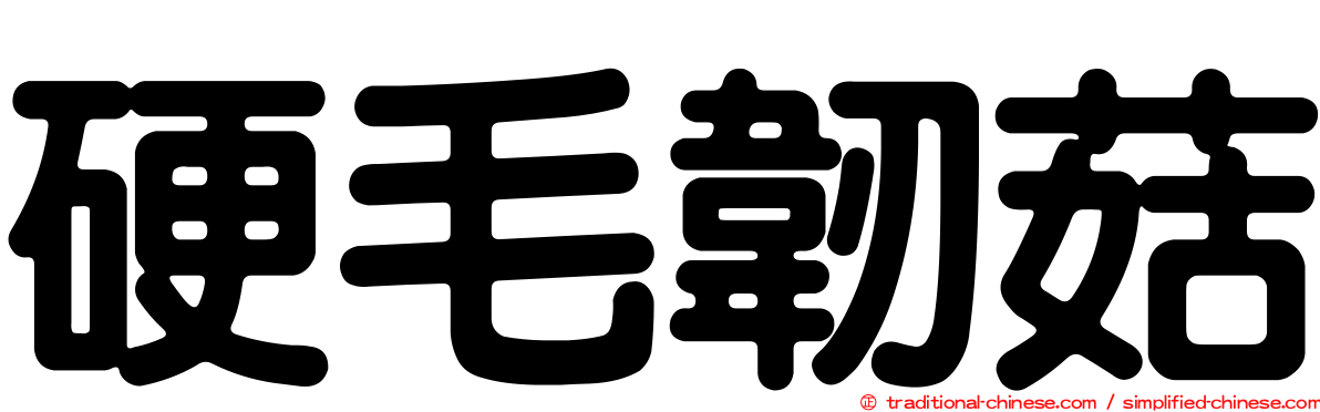 硬毛韌菇