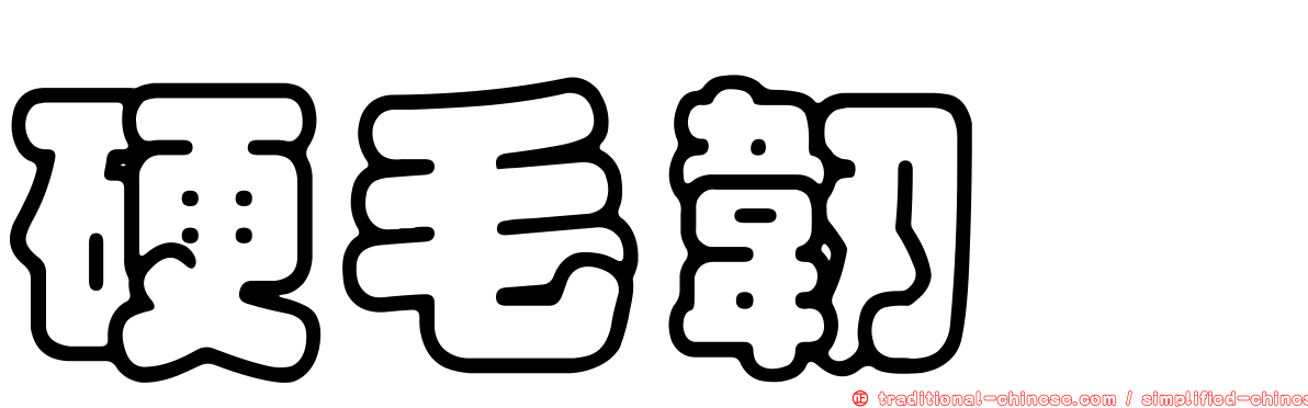 硬毛韌菇