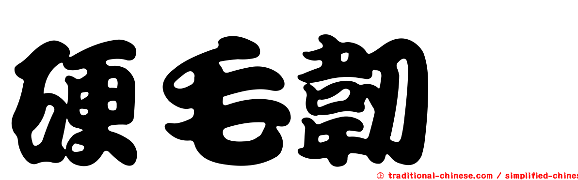 硬毛韌菇