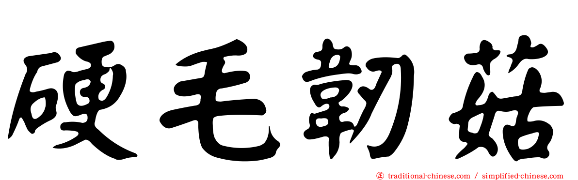硬毛韌菇