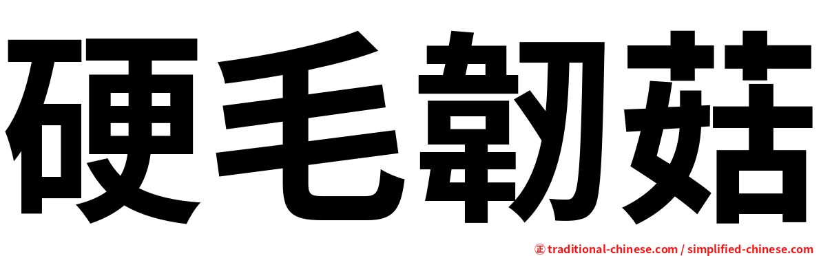 硬毛韌菇