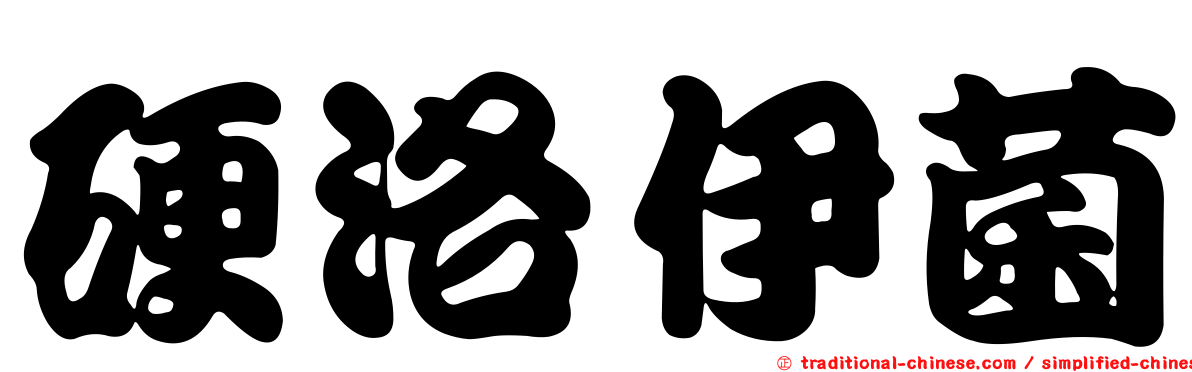 硬洛伊菌