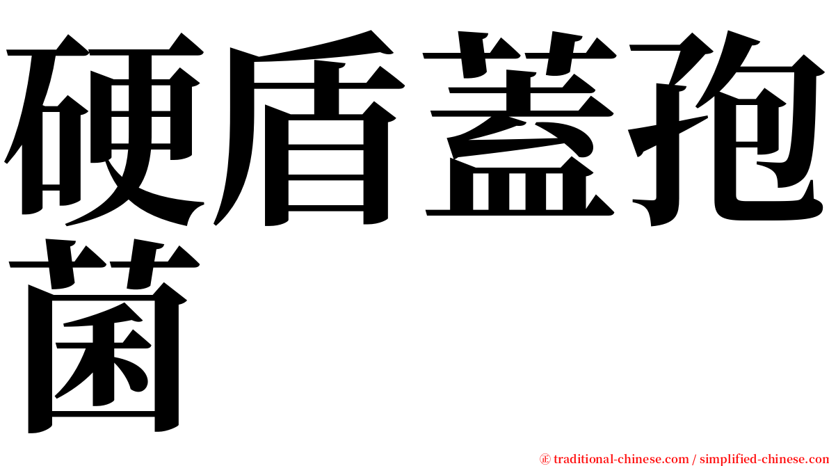 硬盾蓋孢菌 serif font