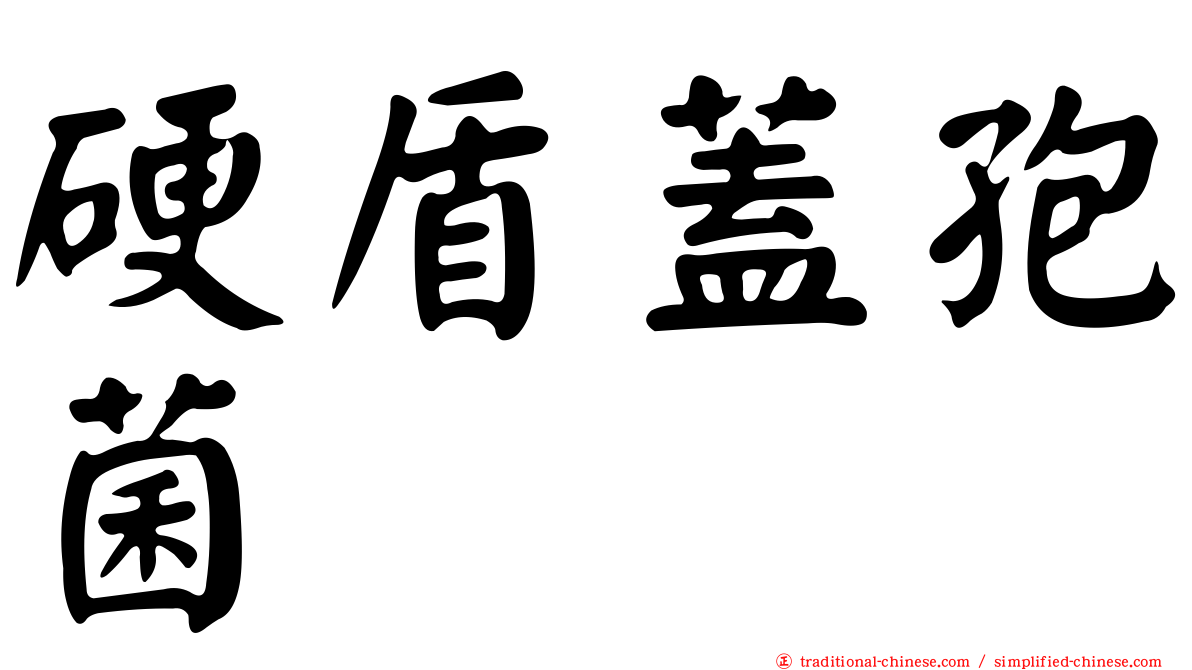 硬盾蓋孢菌
